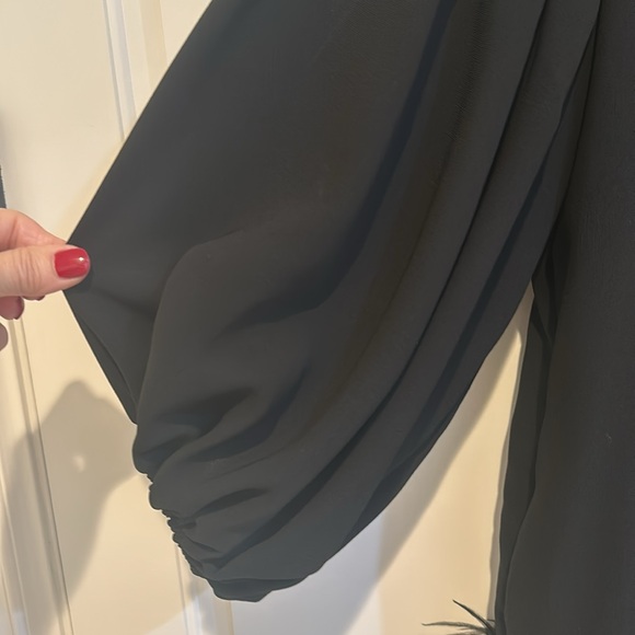 Marielle Black Feather Dress NWT - Picture 4 of 6